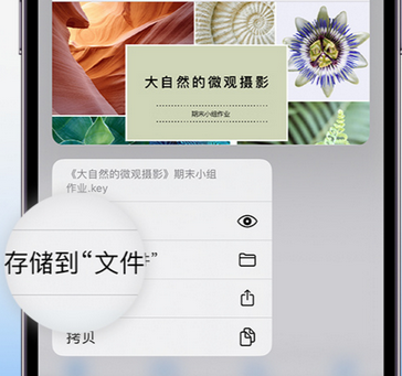 武进apple维修中心分享iPhone文件应用中存储和找到下载文件