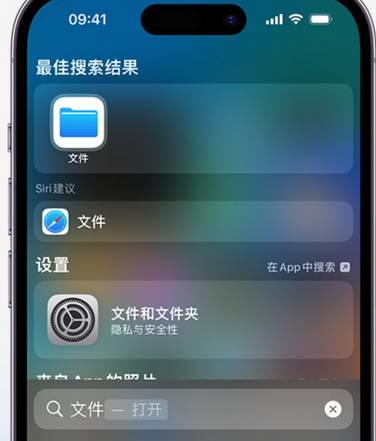 武进apple维修中心分享iPhone文件应用中存储和找到下载文件 