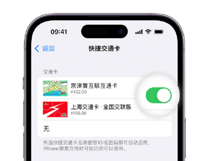 武进apple维修点分享iPhone上更换Apple Pay快捷交通卡手绘卡面 