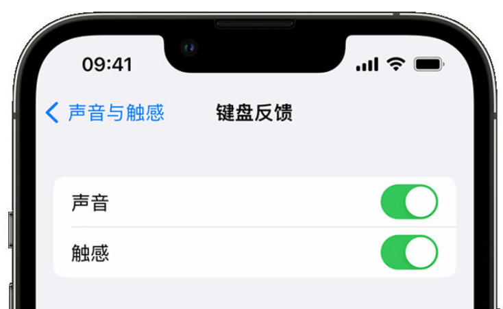 武进苹果手机维修分享iPhone 14触感键盘使用方法 