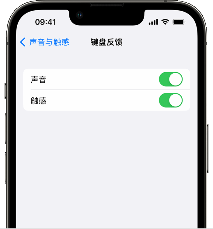 武进苹果14维修店分享如何在 iPhone 14 机型中使用触感键盘 