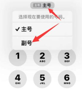 武进苹果14维修店分享iPhone 14 Pro Max使用副卡打电话的方法 