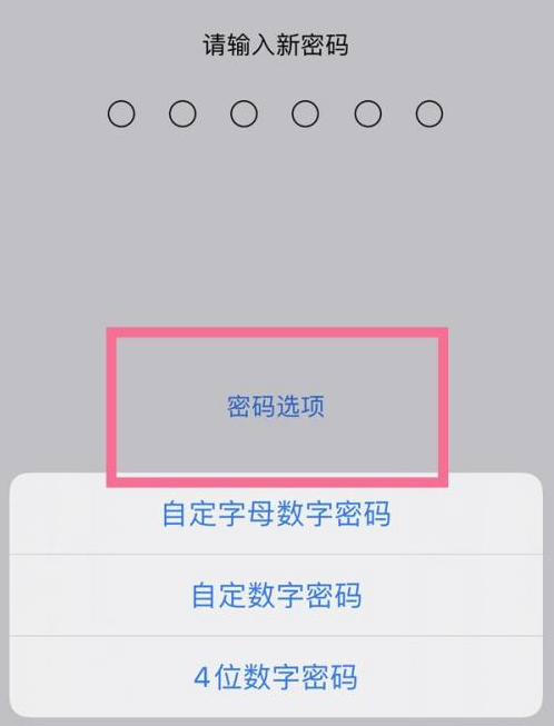 武进苹果14维修分享iPhone 14plus设置密码的方法 