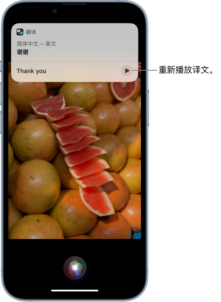 武进苹果14维修分享 iPhone 14 机型中使用 Siri：了解 Siri 能帮你做什么 