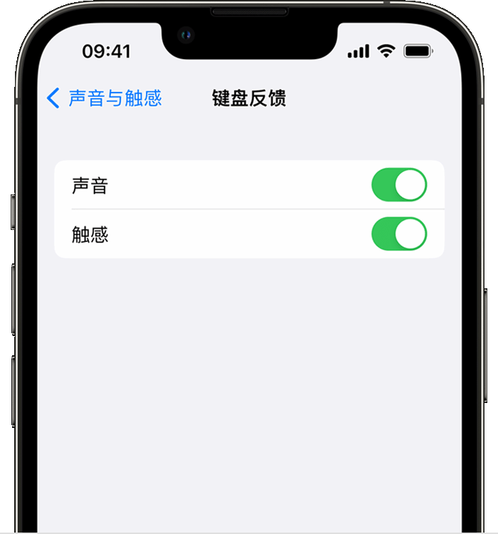 武进苹果14维修分享iPhone 14 系列机型如何开启键盘声音或触感反馈 