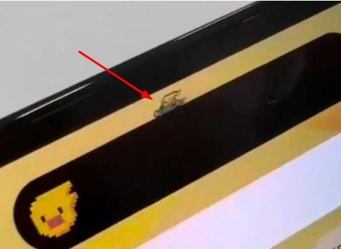武进苹果14维修分享iPhone 14 Pro Max灵动岛怎么养宠物 