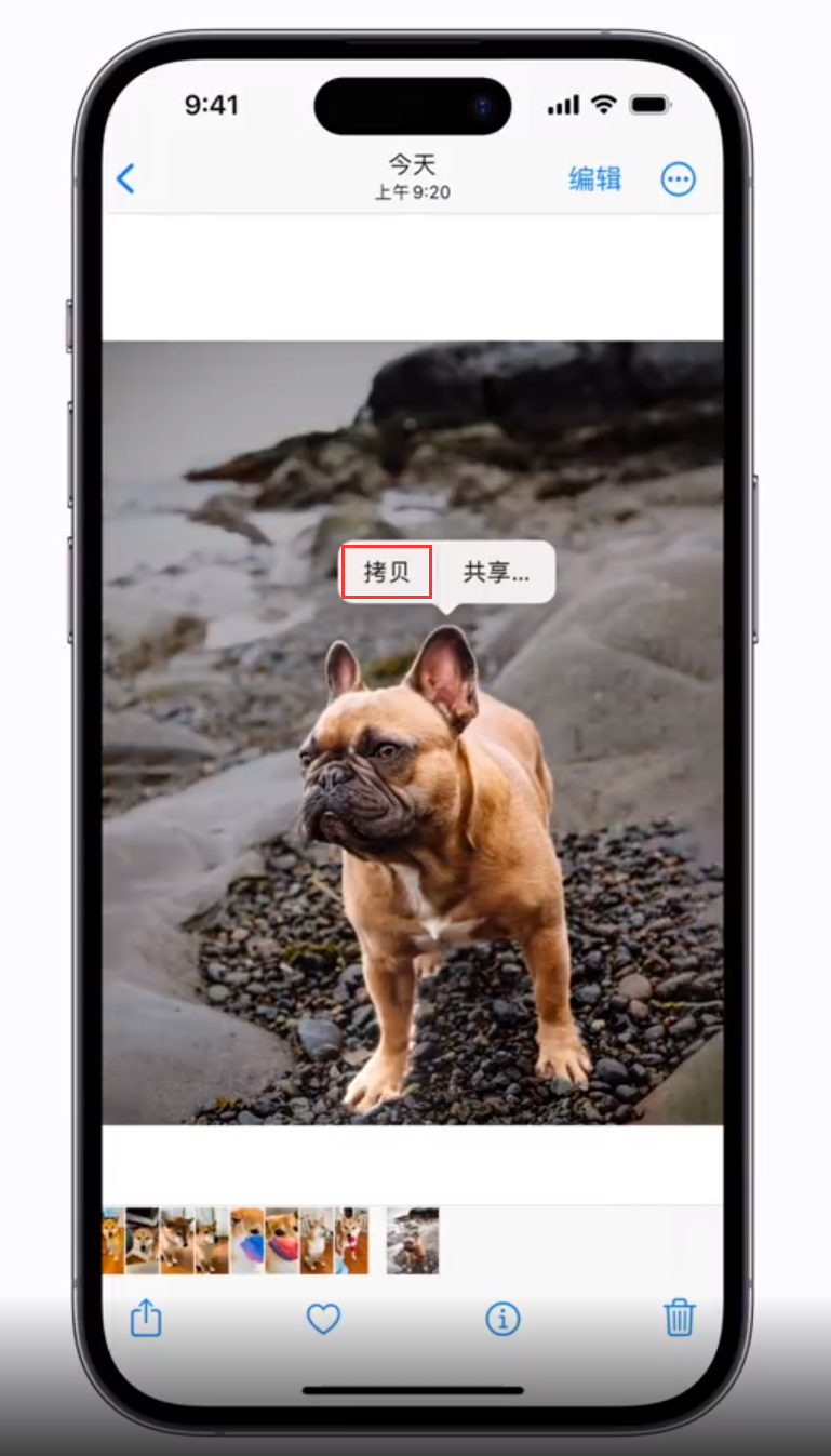 武进苹果手机维修分享 iOS 16 自带一键抠图功能 
