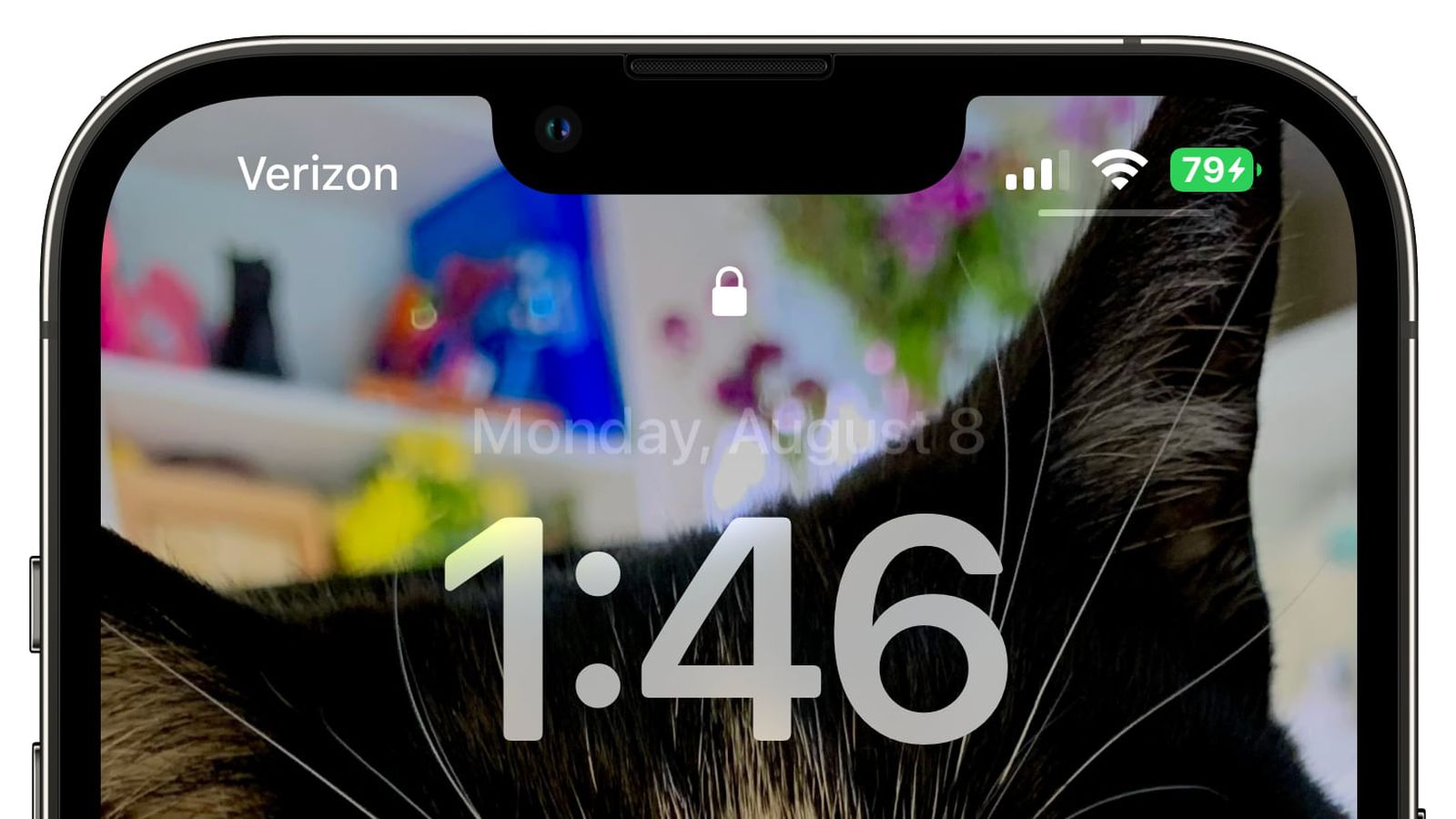武进苹果手机维修分享iOS 16 beta 5 支持状态栏显示电池百分比，如何开启？支持哪些机型 
