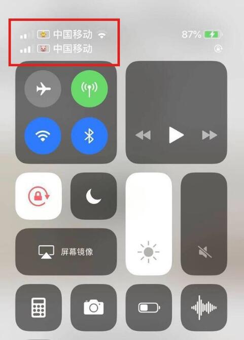 武进苹果手机维修分享为 iPhone 12 双卡设置标签 