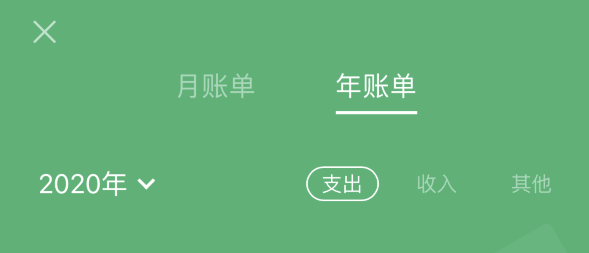 武进苹果手机维修分享如何在 iPhone 上查看支付宝和微信年支出账单 