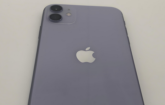 武进苹果11系统维修分享iPhone11手机系统崩溃无法开机如何解决 