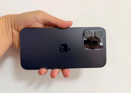 武进苹果维修点分享iPhone 14 Pro Max黑屏少见故障盘点 